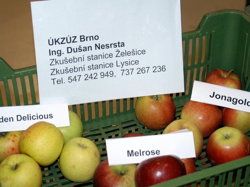 Obrázek 7