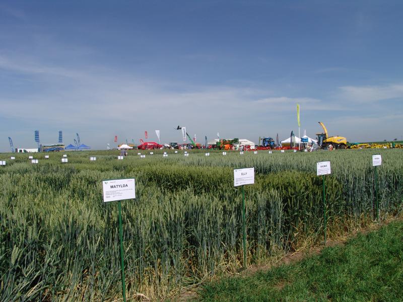2588