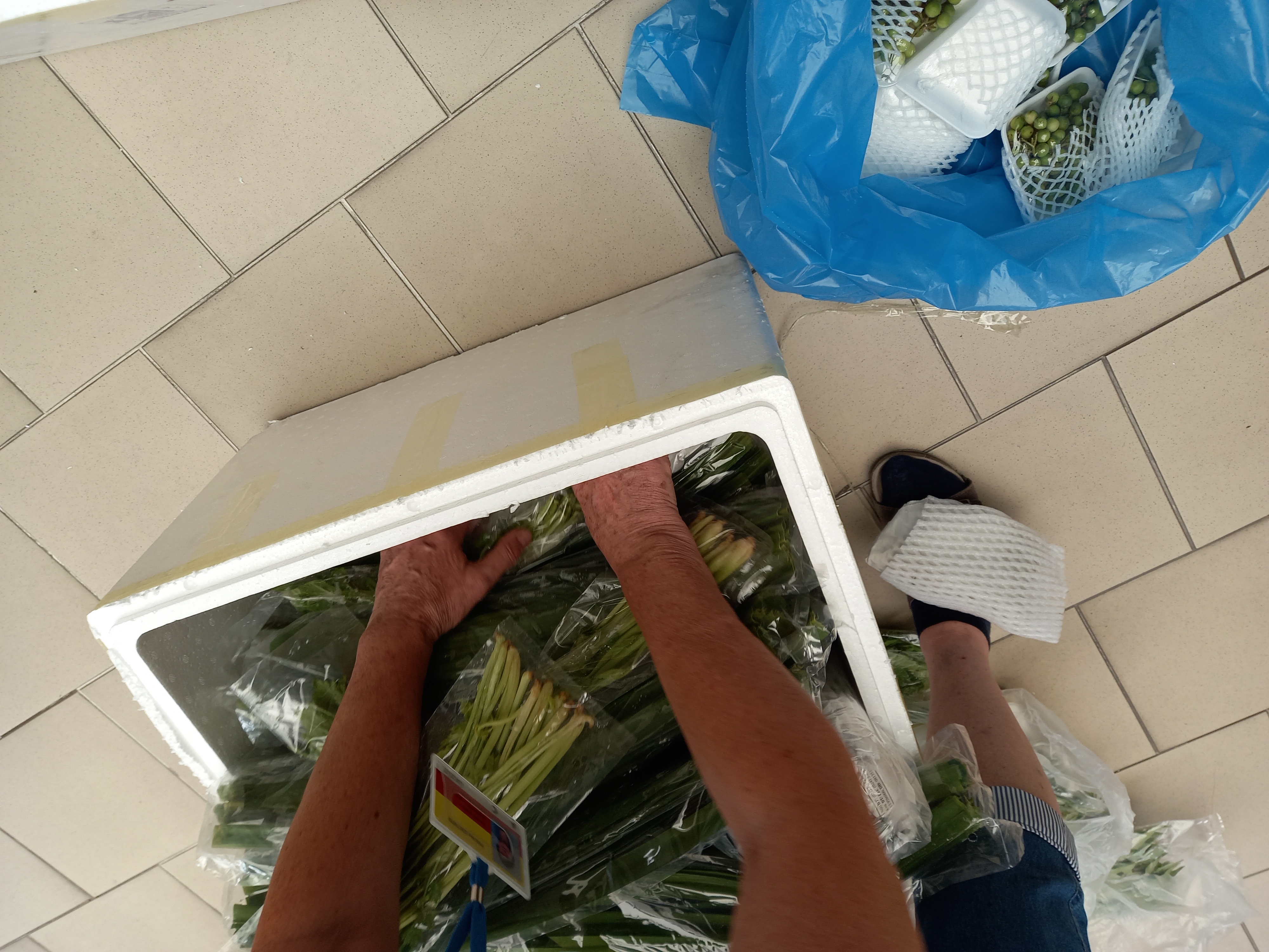 Podezření na výskyt Ralstonia pseudosolanacearum v dovážené kurkumě