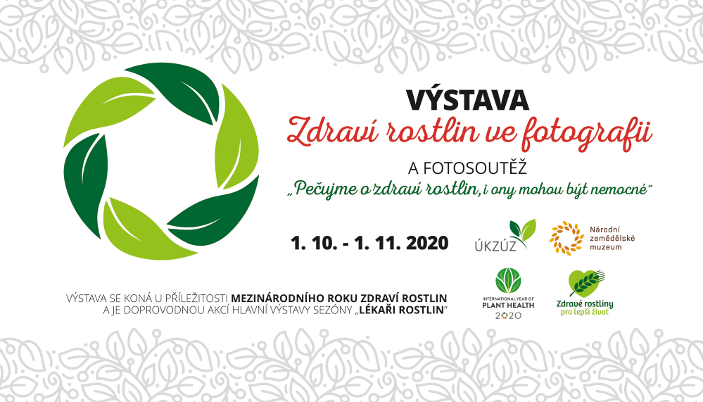 výstava Život rostlin ve fotografii