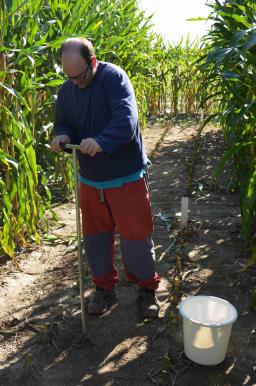 Sampling in PJ - September 2014