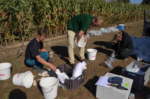 Sampling in PJ - September 2014