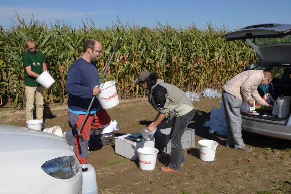 Sampling in PJ - September 2014