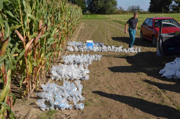 Sampling PJ - September 2014