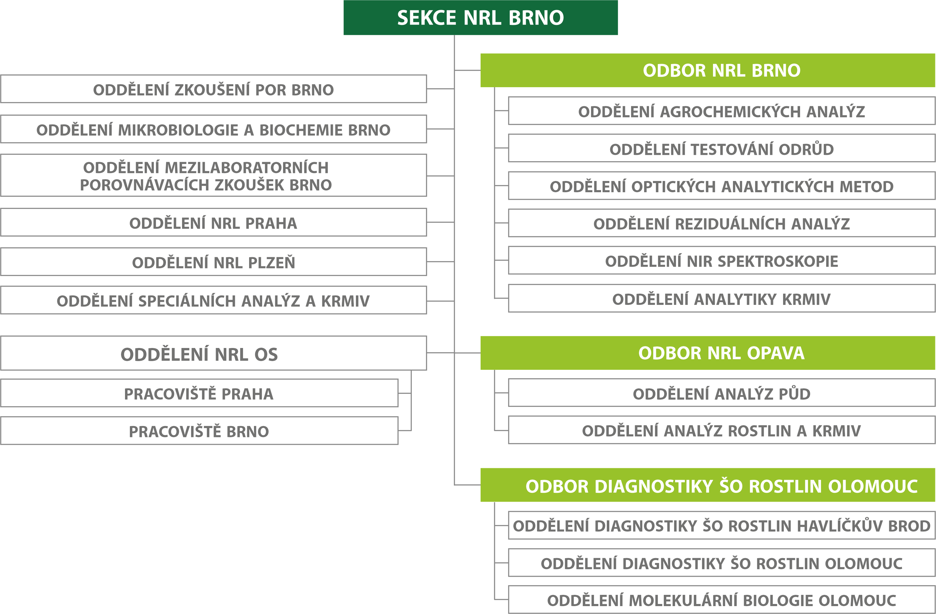 Organizační schéma NRL 2026
